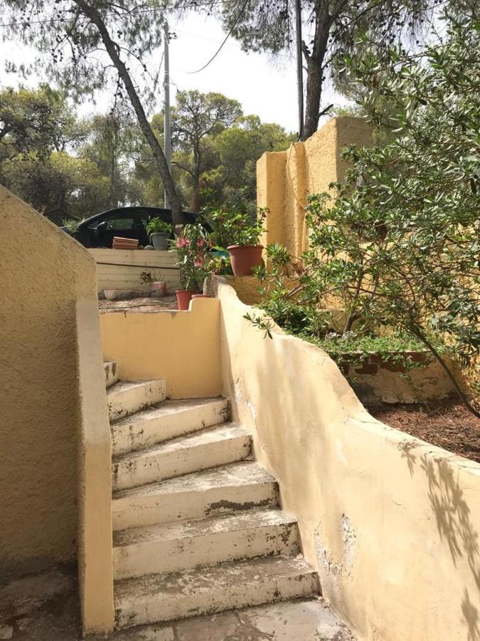 Apartmán Vana Kavos Agia Marina  Exteriér fotografie